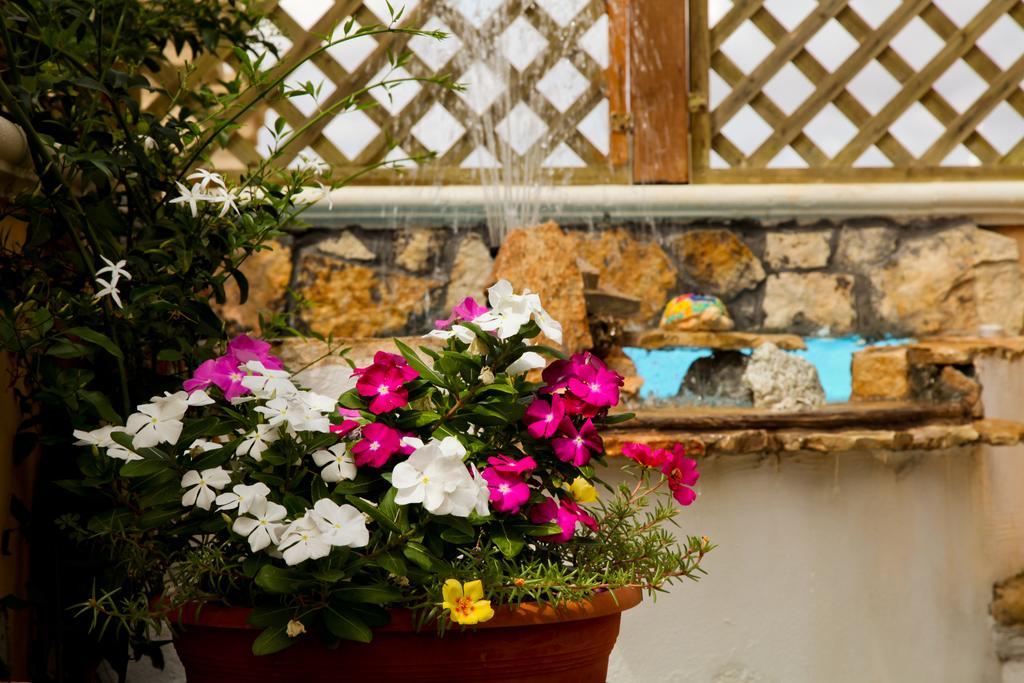 Bed and Breakfast Bonjour Morciano di Leuca Exteriér fotografie