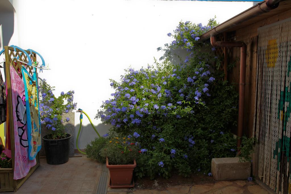 Bed and Breakfast Bonjour Morciano di Leuca Pokoj fotografie